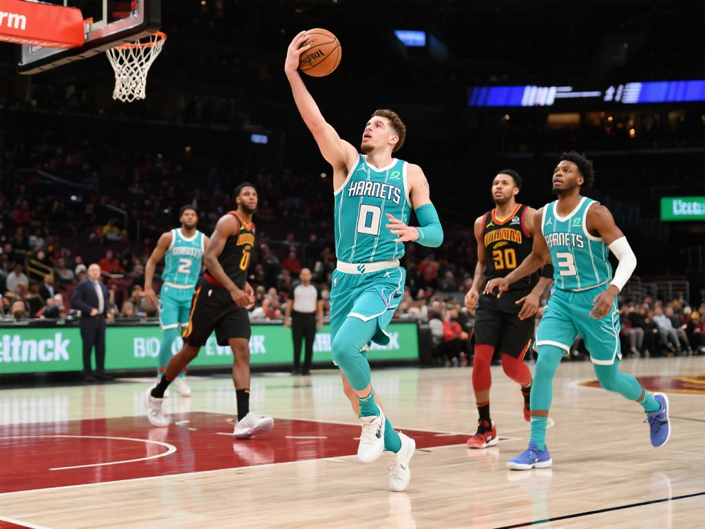 提供丰富的 提供丰富的